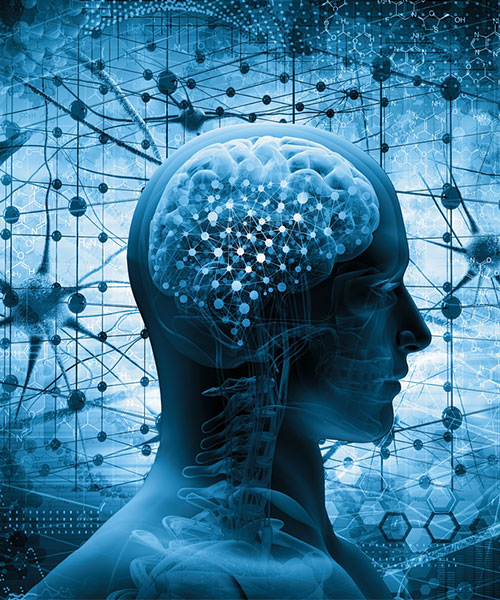 Neuro Psicologia Clinica 